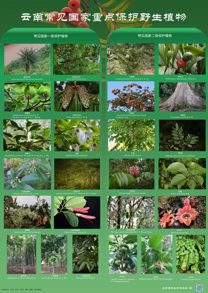 以案普法：风险国度沉点；ぶ参镒